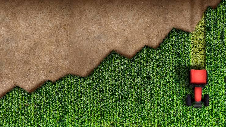 Farmers growing increasingly desperate amid rising energy and fertilizer prices