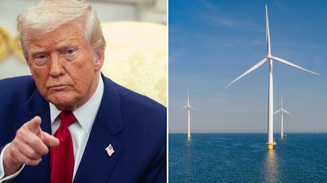 Trump administration plans to spend $765 million to cancel 4 more wind farms — bringing the total to $2.6 billion