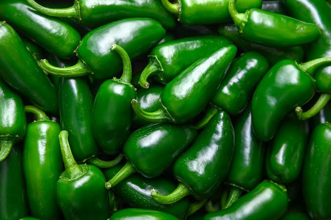 Investigation Update: Salmonella Outbreak, August 2026