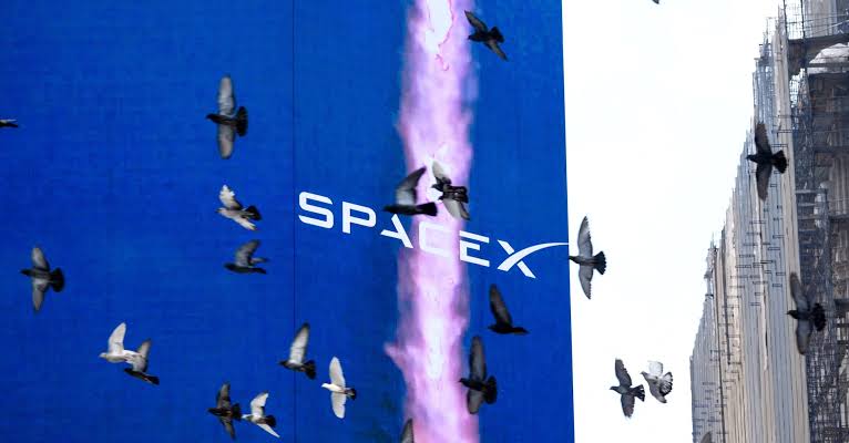 SpaceX stock climbs as shares available for trading more than double