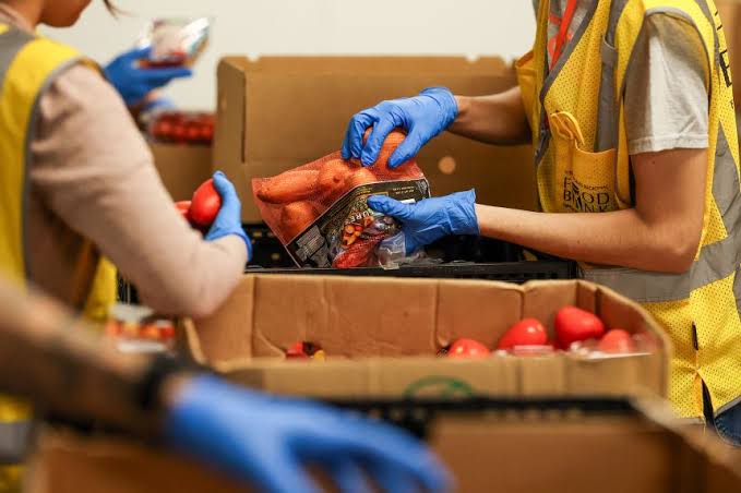 New Fed report warns of ‘remarkable’ increase in households skipping meals due to food costs