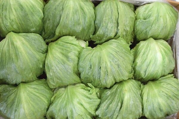 Taylor Farms to Remove Products After Lettuce Is Linked to Cyclospora Cases