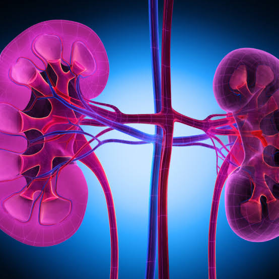 FDA approves Vera Therapeutics kidney disease treatment