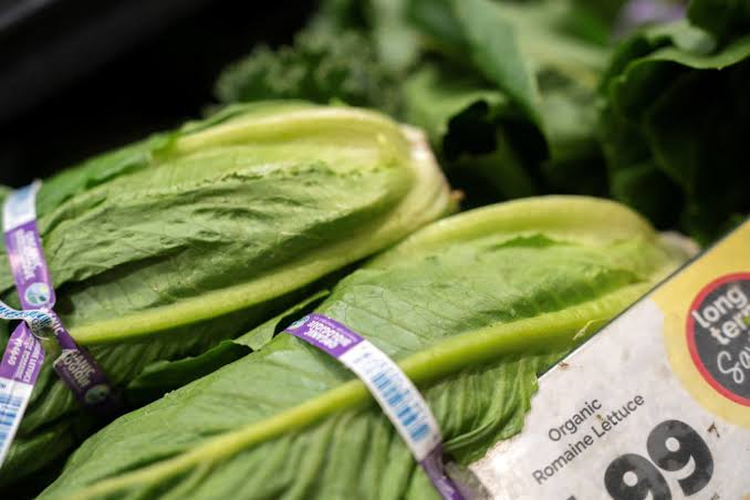 Cyclospora and salmonella outbreaks raise concerns about U.S. food safety