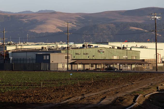 Lettuce linked to explosive diarrhea was distributed in Texas for weeks