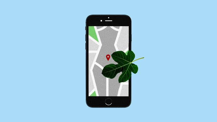 The iPhone lowered the birth rate, new paper finds