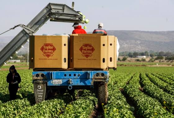 Taylor Farms has had food safety problems before. Now it’s linked to another outbreak.