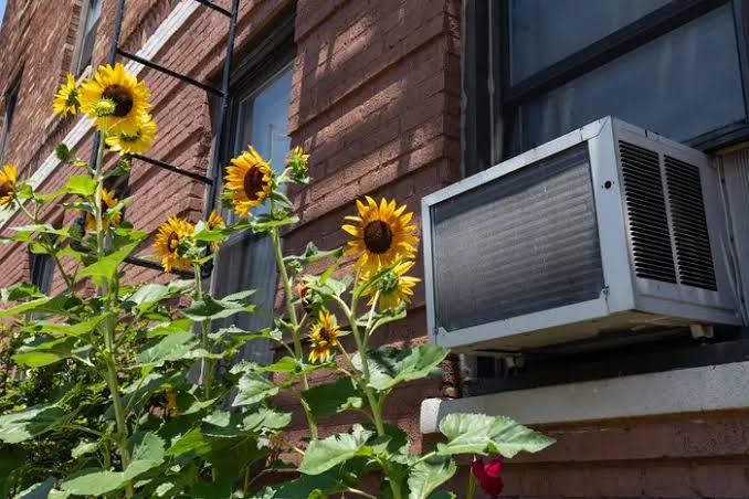 How your AC will and won't protect you from NYC's gnarly smoke-filled air