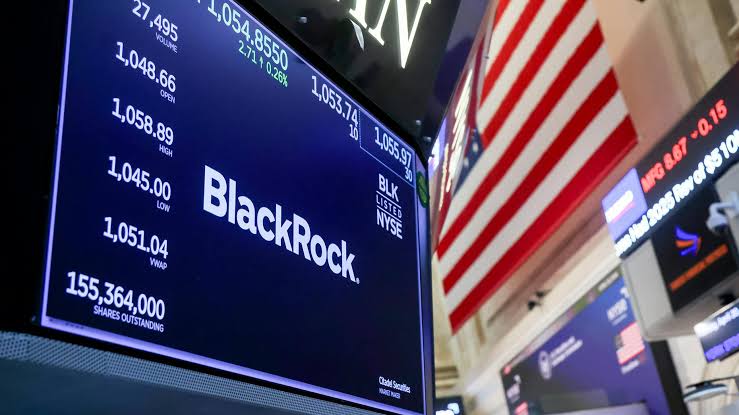 BlackRock Weighs Multibillion-Dollar Investment in SpaceX IPO