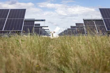 Solar generates more energy in US than coal for first time | US news