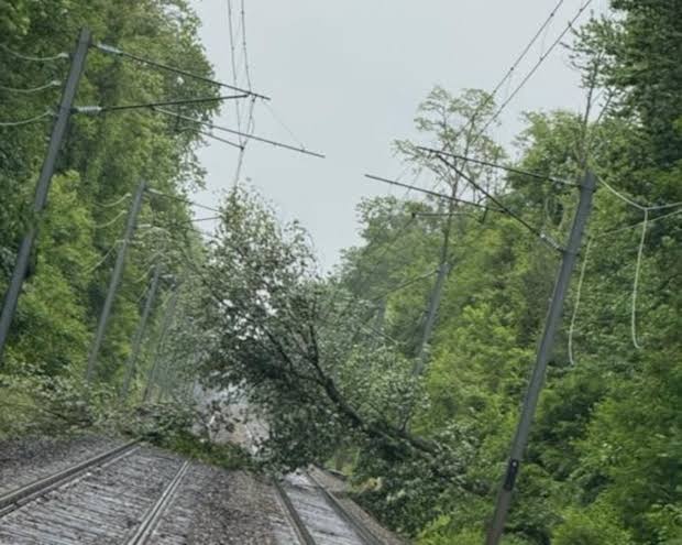 NJ Transit resumes rail line after suspension from downed tree
