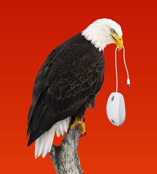 AI has granted America vast new power
