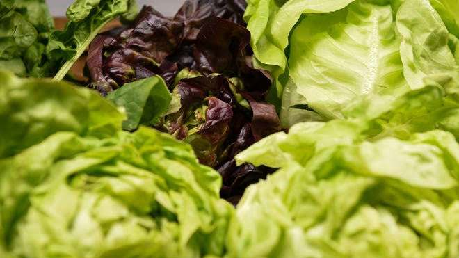 See full list of items included in Taylor Farms lettuce recall