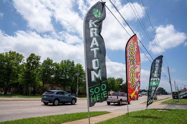 Trump Administration Delivers Lucrative Win for Its Kratom Allies