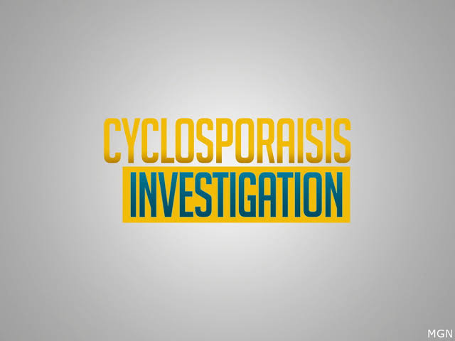 Oregon health officials investigate local cyclical outbreaks during lettuce recall