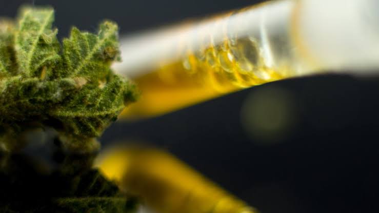 Crackdown on THC: Ban on some hemp products now in effect