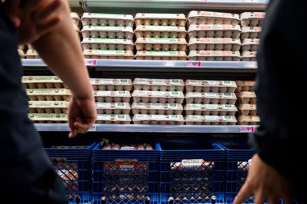 Egg Producers to Pay $3.3 Million to Settle Federal Price-Fixing Lawsuit