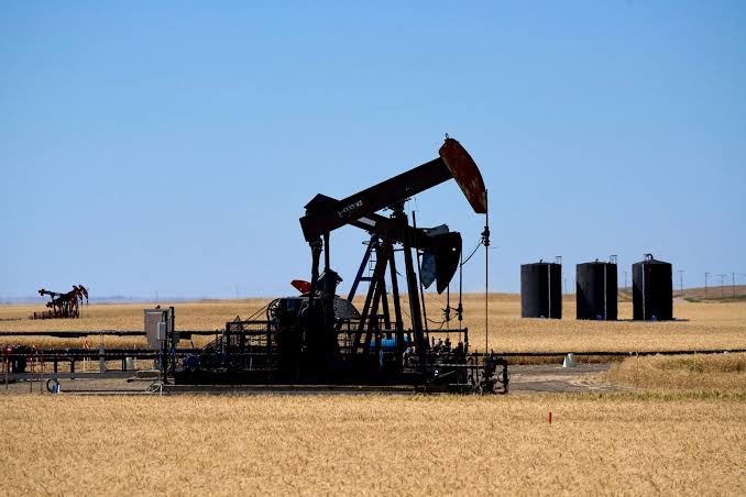 Oil gains on short-covering buys ahead of US holiday