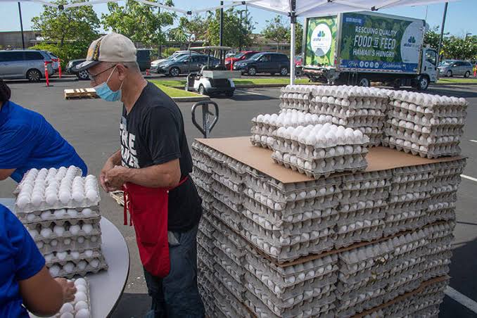 Hawaii due to receive 1M eggs from price-fixing settlement