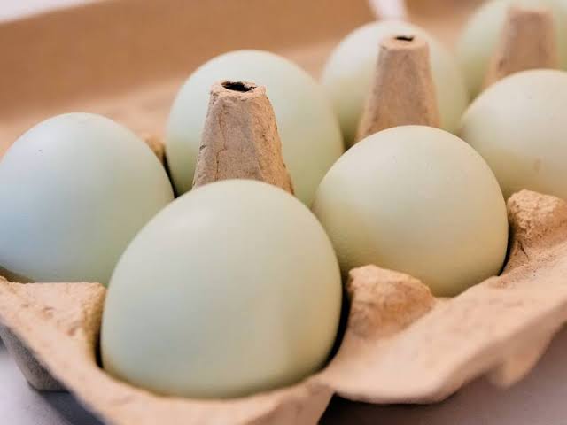 Companies will donate 53 million eggs to settle price inflation allegations