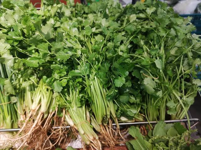 FDA reports new cyclospora outbreak as North Carolina eyes cilantro, parsley