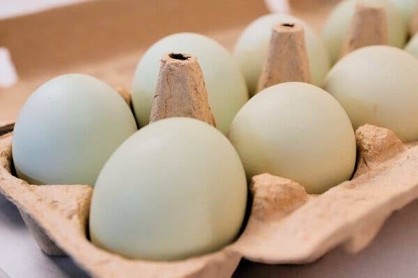 1.6 Million Egg Cartons Are Recalled Over Salmonella Risk