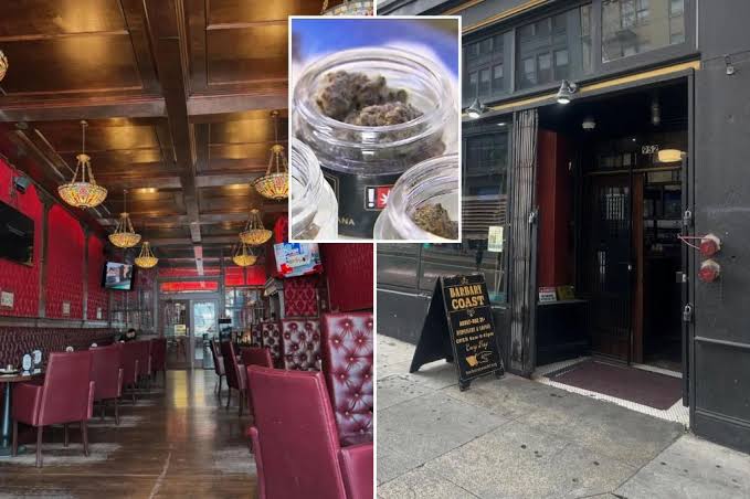 California city makes final ruling on Amsterdam-style cannabis cafes
