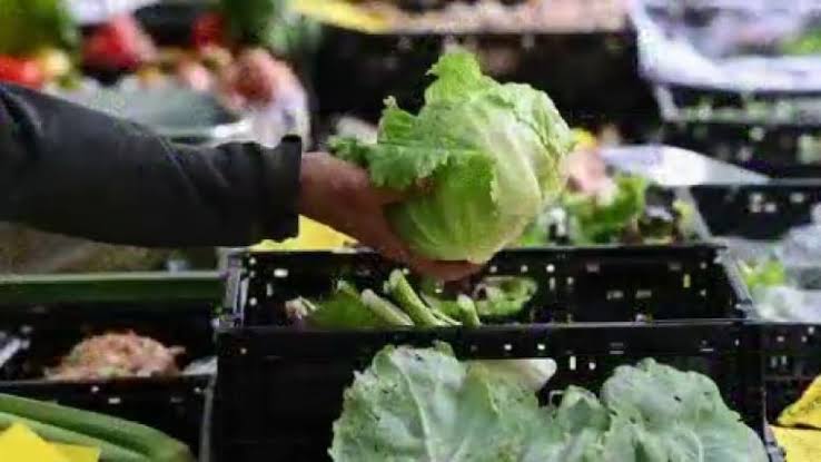How the cyclospora lettuce outbreak sparked a massive consumer trust crisis
