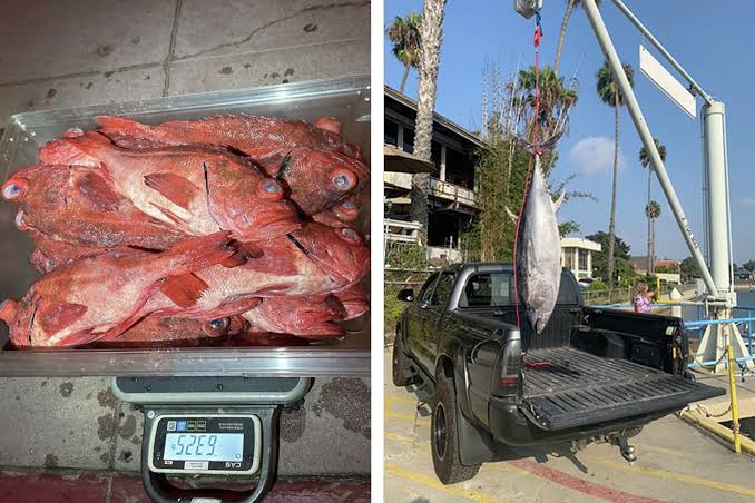 Chic California seafood restaurant publicly admits to lying to customers