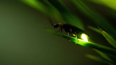 J&J makes $1B bet on emerging DAC space by netting Firefly Bio