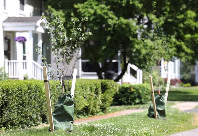 Fairport is New York's 'hottest' housing market, report finds
