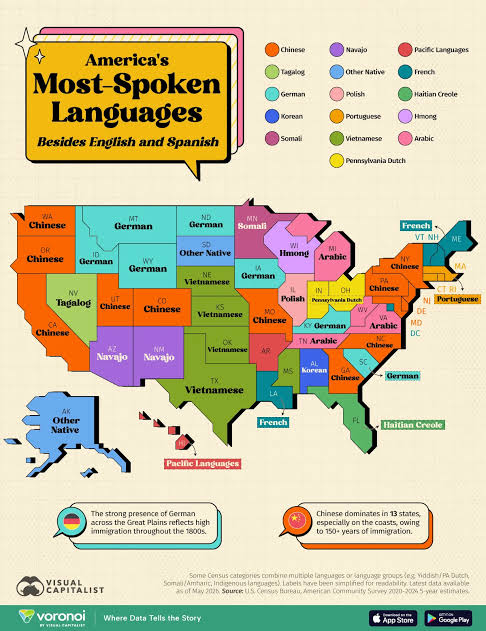 Mapped: America’s Most-Spoken Languages After English and Spanish