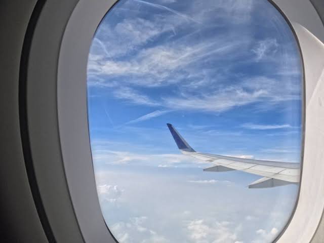 Another airline files for bankruptcy and cancels all flights