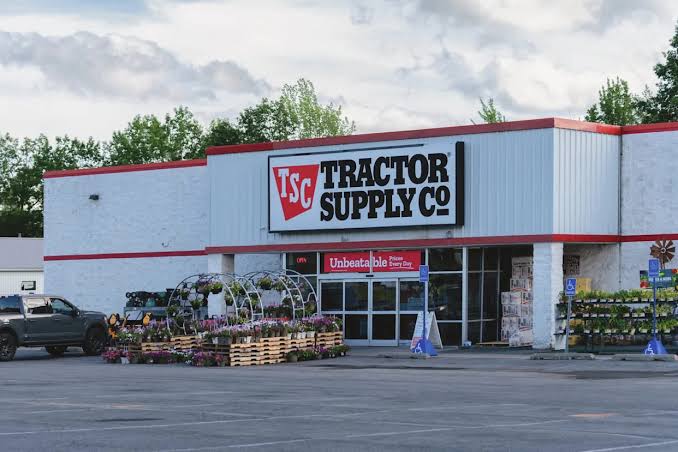 Girl shopping for clearance plants with $20 is recognized, and store workers give them to her free