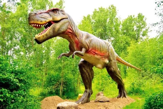 Top Comments: Why Did Tyrannosaurus Rex Have Such Tiny Arms?