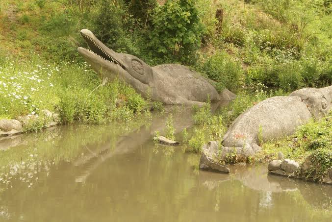 Ancient Roman May Have Been the World’s First Collector of Sea Monster Fossils