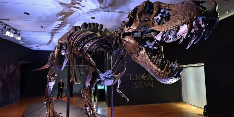 First-known foot bone of a baby T. rex found stashed in pile of fossils after being mistakenly identified