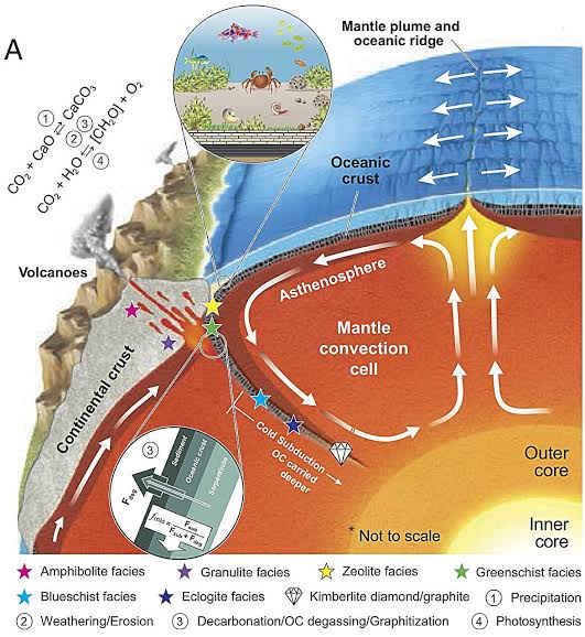 Earth's oxygen-rich atmosphere may owe its existence to cold subduction