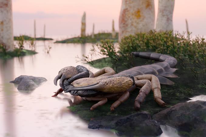 The largest scorpion to walk the Earth was more than 3 feet long