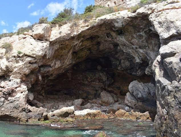 Neanderthals gathered shellfish using the same strategies as modern humans, study finds