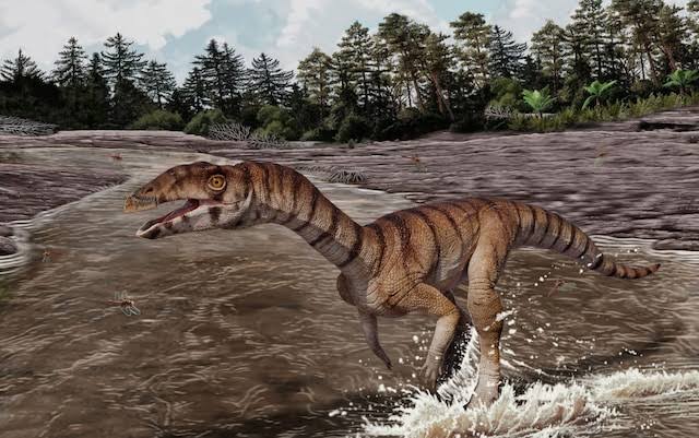 Crocodile ancestors stood upright like dinosaurs