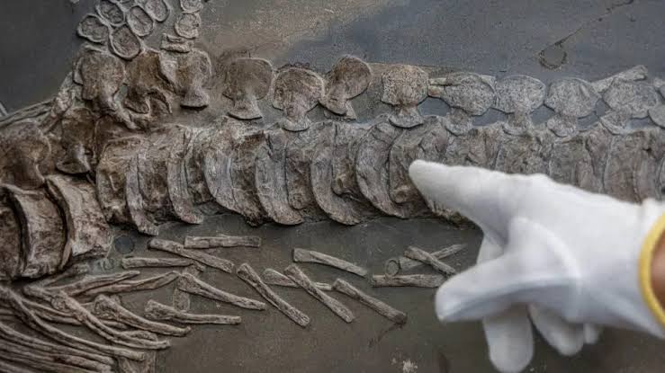 If another advanced civilization lived on Earth before us, would we know?