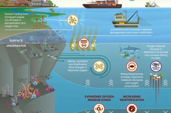 Underwater oxygen loss threatens earth's stability, researchers warn