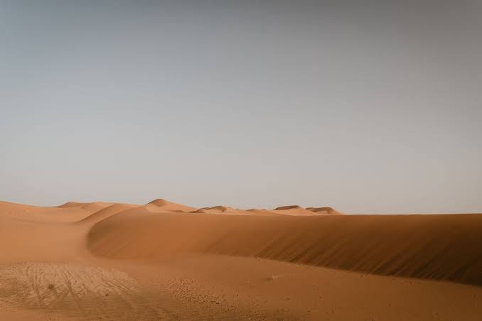 The Sahara turns green roughly every 20,000 years, and the last time it did, hippos and crocodiles lived in lakes where there is now only sand