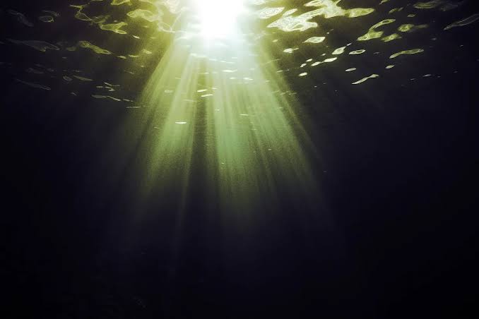 Scientists Have Detected Something Deeply Alarming at the Bottom of the Ocean