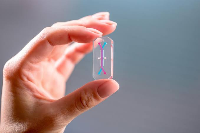 A tiny experiment using Artemis II astronaut cells could reshape medicine