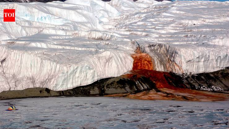 Hidden beneath Antarctic ice, a red brine pool contains marine microbial DNA, supporting evidence of an a