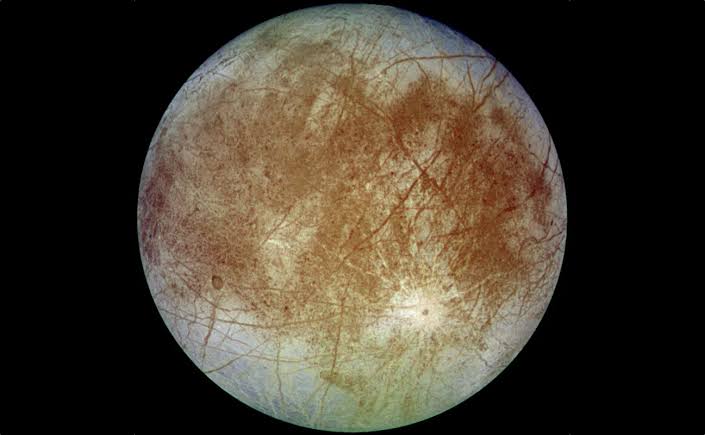 Hundreds of Thousands of Quadrillions of Bacteria Could Have Reached a Moon of Jupiter from Earth in the Last 80 Million Years