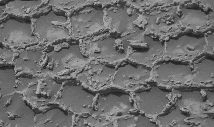 NASA’s Curiosity Rover is Investigating Unusual Polygon Structures That Look Like a “Giant Martian Honeycomb”