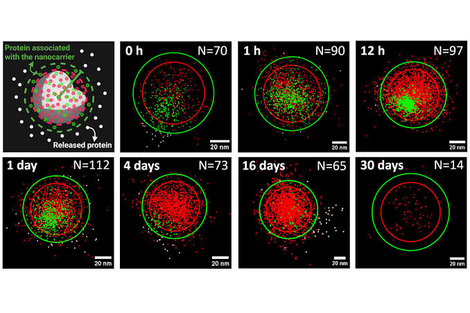 Particle-by-particle tracking reveals uneven nanoparticle drug release